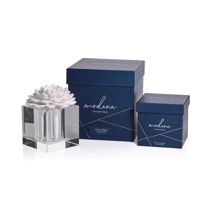 Modena Large Diffuser Gift Set