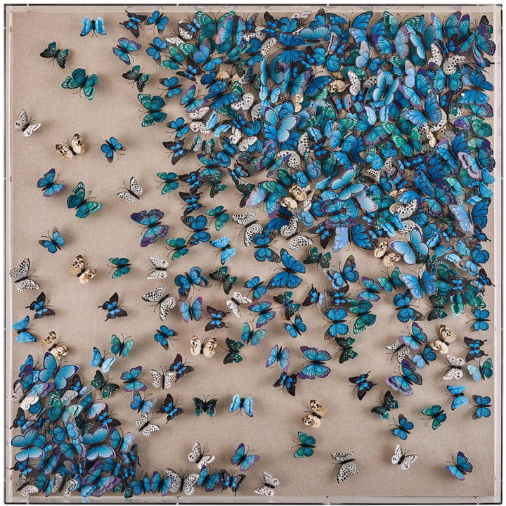 FEYS FLIGHT OF BUTTERFLIES